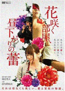 暗夜恋人 免费播放